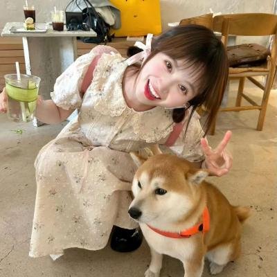 枕刀歌第三季